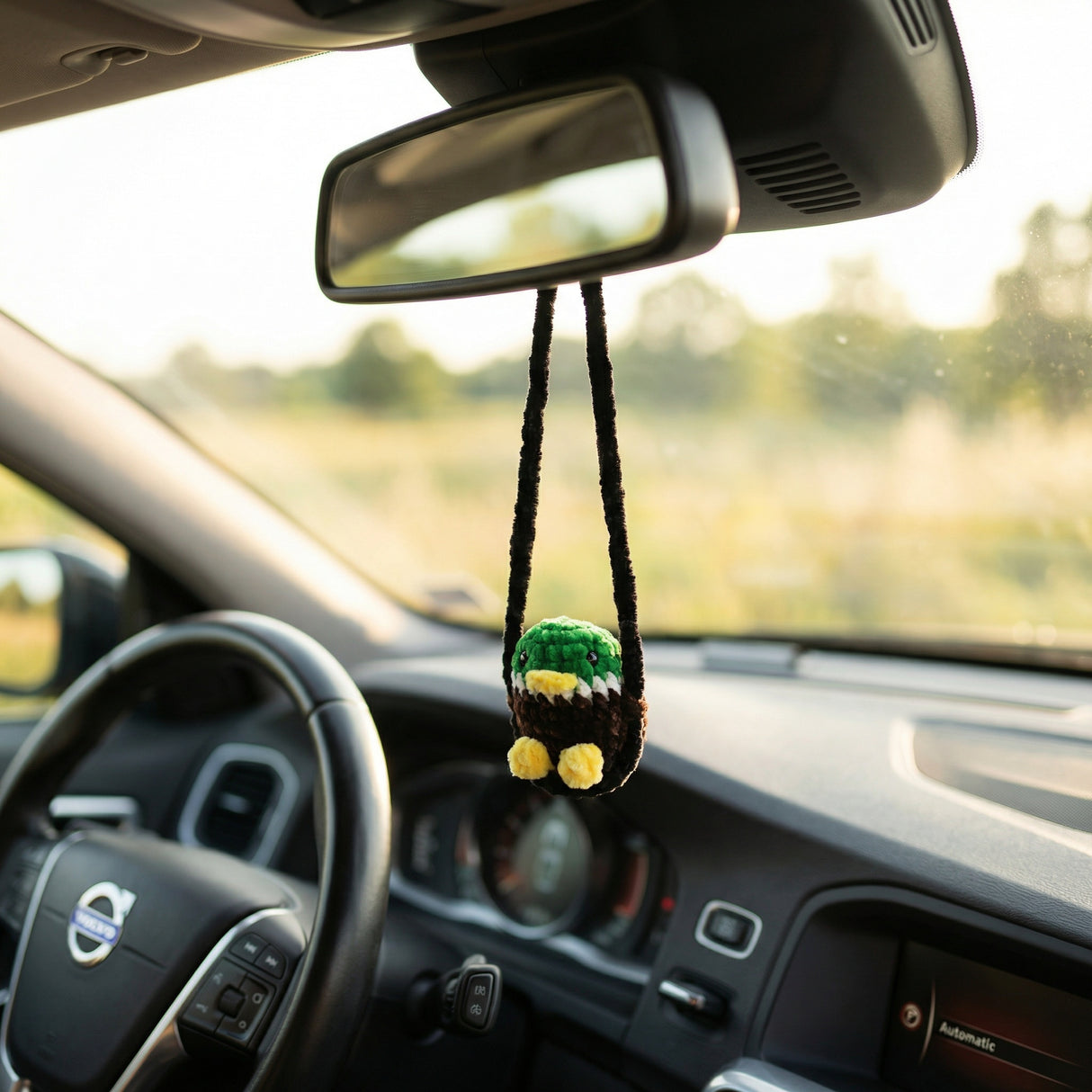 DIY kit Car Buddy Gräsand