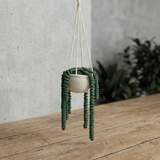 DIY kit: Hängande Planta