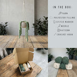 DIY kit: Hängande Planta